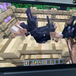 KAATTS KINGDOM