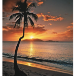 Seaside Suites Resort