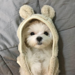 DanielaUwU