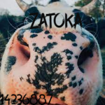 ZATORA
