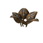 DaVinci's Root