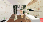 team robux gratuit tout les mois!