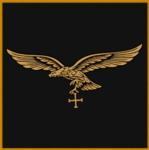 Fuerza Aerea de Berlin