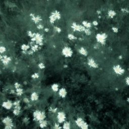 დ