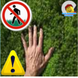 DONT GET THE GRASS TOUCH ADVENTURE OBBY