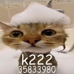 k222