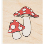 •Mushroom Kingdom•