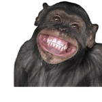 Monke's Crew