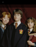 *+*The Harry Potter Fans*+*