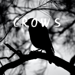 C R O W hangout