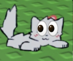 <[(CUTE CAT ])>
