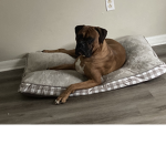 Tyson Fan Group