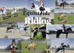 Equstride riding school