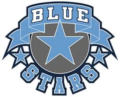 Blue stars studio Roblox group icon