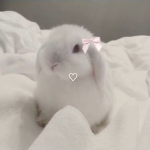 para todos mis amigos UwU