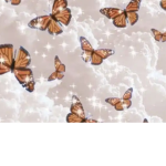 Aesthetic~by~Evie