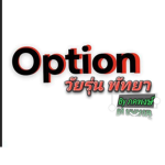 option วัยรุ่น พัทยา Byภคพงษ์