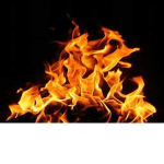 FIre Nation 2 fan club