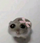 1yrical