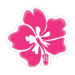 Hibiscus Studio's