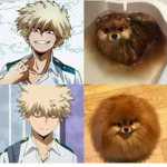 My Hero Academia Fan Club :3