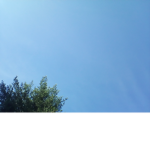 Sky and trees