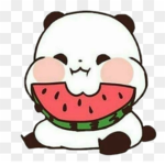 Watermelon - Squad