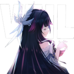 Veil Dev