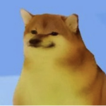 Cheems memes