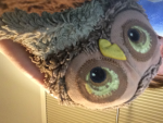 Owl for life.
