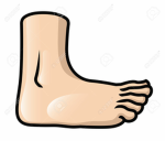 Toenail Productions