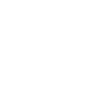 Turkey Society