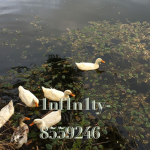 1nf1n1ty-