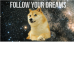 The Official Doge Fanclub