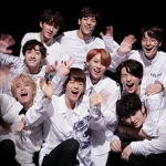 stan stray kids for gogi