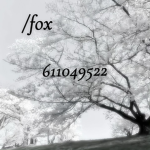 /fox