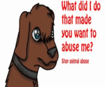 Help Stop Animal Abuse!