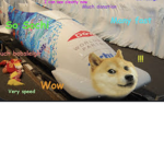 Doge the gamer pro boy