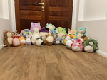 Squishmellow squish squad