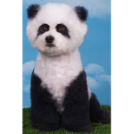 ThePoodlePanda