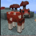 The Lords Of Derp