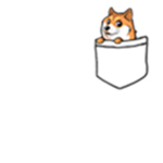 DOAR ROBUX PARA LIVIA E KAROL