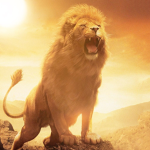 Lion RAIDERS!