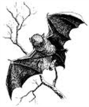 Creatures of the dark.