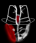 The western roleplay group
