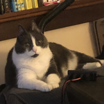 bobby fanclub