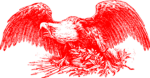 Red eagle navy
