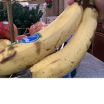 Banana best group who loves bananas the fruit