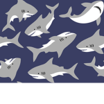 SHARKS ARE AWSOME