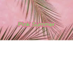 Pink Summerss